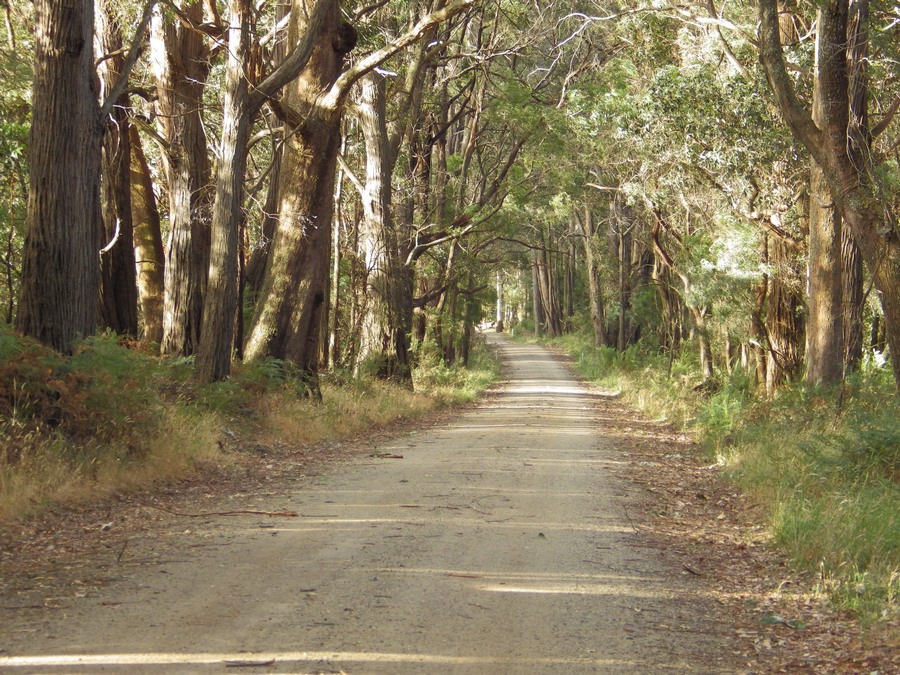 gravel sector 6 flat