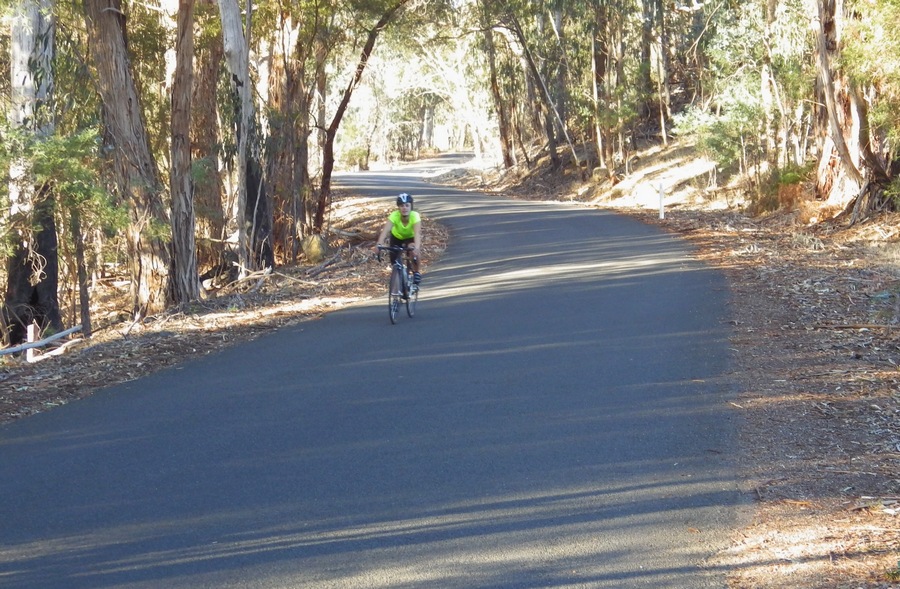 IMGP2064 crop adj small