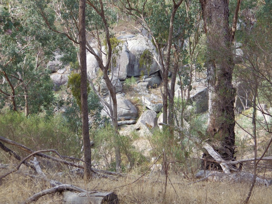 Upper Boho gully