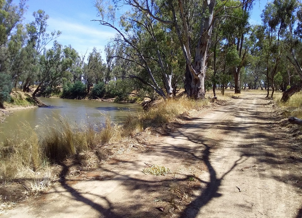 Meet the Yellowbelly Track