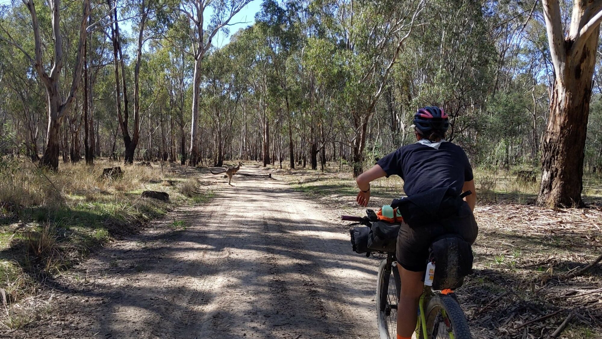 Review: Yellowbelly Track – Kia and Heath